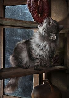 ...Сколько лет я спорил с судьбой
   ради этой встречи с тобой!..