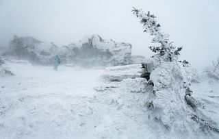 В этот раз нам \