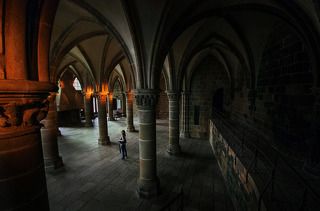 Зал приемов. В топке каминов  помещается человек в полный рост