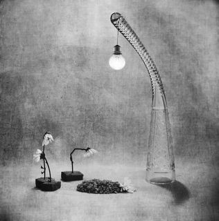 похороны Педро