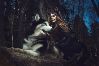 Чешир и  пес.