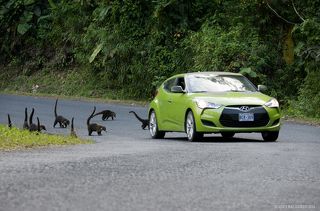 После успеха операции они еще несколько метров бегут за машиной в надежде получить добавку. Или тут же переключаются на следующую \