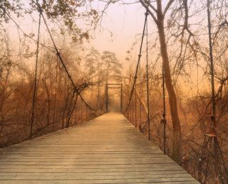 Mysterious Bridge