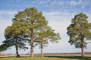 Виктор и Евгения, 09.05.2013 г.