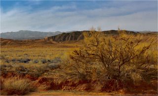 8:46 lab-эксперименты 1