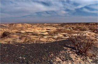 10:55 Черное и белое