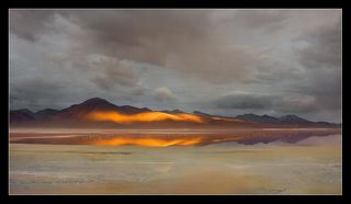 На Южно-Американском Альтиплано зимой (нашим летом) бывает невероятно холодно. Сильные ветра и температура воздуха,опускающаяся ниже 25 градусов по Цельсию, делает жизнь фламинго одной из самых нелегких. В это время все соленые лагуны высокогорья покрываются тонким слоем льда, сковывая движение птиц. Мы видели таких не раз,застывших во льду.....

-только не подходите близко!,-предупреждает нас гид....
-они могут поломать свои лапы....

И только с солнцем, когда оттаивает верхний слой воды,фламинго могут выбраться из плена и продолжить свой ежедневный труд- поиск пропитания и кормление птенцов...