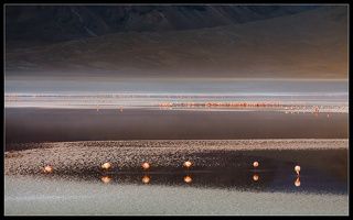 Это был последний день в высокогорной Боливии....мы уезжали вниз,спускаясь с тех высот,на которых провели почти 19 дней....Последний рассвет.....Прощание с Лагунами,Вулканами,Соляными Озерами и осторожными Фламинго....
Последний рассвет.....нас встретил тяжелыми облаками и косым дождем на горизонте...