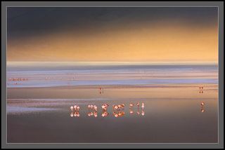 И лишь на миг, на маленький миг, вышло солнце,осветило Лагуну Колорадо,заблестело на кристаллах соли, отразилось от близких гор......