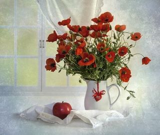 Я тебя люблю!