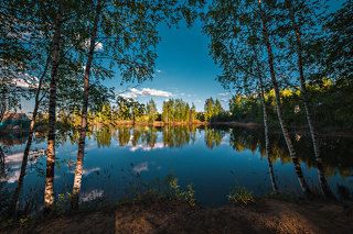 только приехали порыбачить