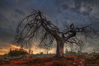 Воттоваара