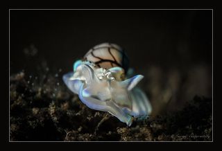 Indonesia. Bali. Melasti.