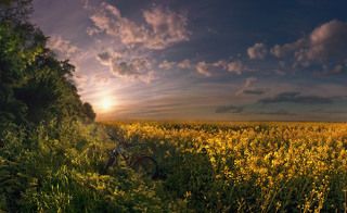20:39 С велосипедом