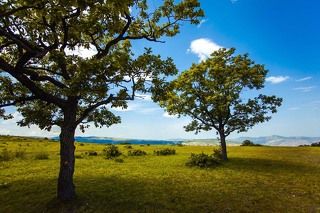 на верхней площадке