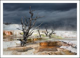 Mammoth Hot Springs находиться у северного въезда в Парк и представляет собой соляные террасы, с минеральной водой. Осенью, основная дорога, ведущая с западной части Парка в северную, от Madison Junction до Norris Geyser Basin закрыта. Для того, чтобы попасть туда, нам пришлось встать в 5 утра и ехать 3 часа в объезд. Этот день был у нас самый насыщенный по впечатлениям, и самый утомительный - в общей сложности катаясь по Парку мы провели за рулем 15 часов. Этот день оказался и самым тяжелым по погоде: кратковременное солнце сменялось тяжелыми черными тучами и сильным снегопадом.
