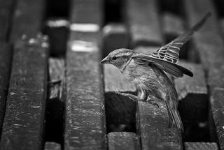 Тут говорят много еды было.