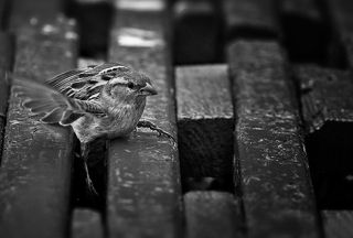 Упс, поскользнулся.