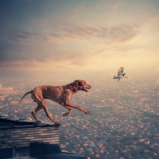 Willingness to do whatever it takes