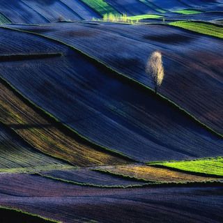 Landscapes_2