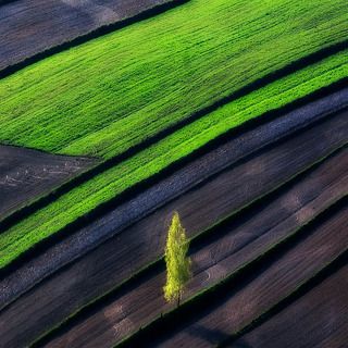 Landscapes_3