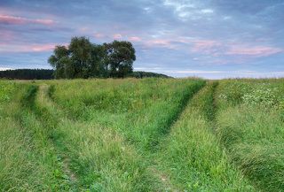 Судьба нас выбирает