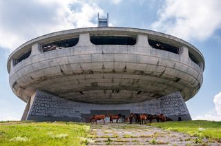 Местные обитатели