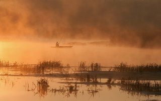 Огненная заводь Dipanisa.