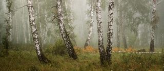 Панорама. 6 вертикальных кадров, 190мм. f9, iso100, 3,2s. Поляризационный фильтр.