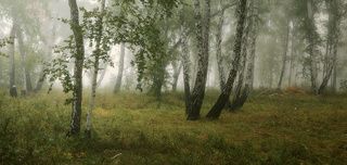 Панорама. 3 горизонтальных кадра, 50мм. f9, iso100, 3,2s.