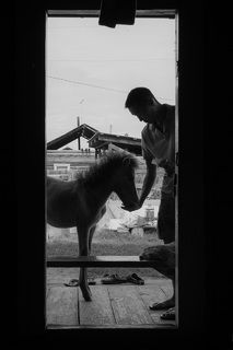 Horses are still everything