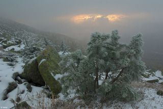 Проснулся ранёхо, все глухо как в чистилище - ветер, туман и пустота. Пошатался пофотал всякую хрень. Вдруг на горизонте мелькнула надежда, фотографа конечно...