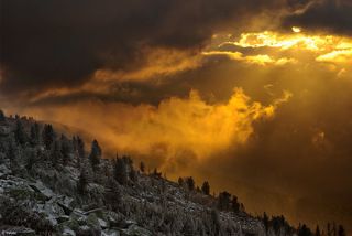 И свет разлился на землю нашу...