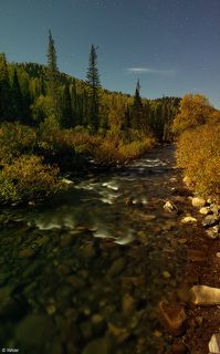 Гулянка проходила по стандартному плану: застолье - баня - застолье - песни под гитару - танцы вроде еще были. :)  Но самые маньячные фотографы выбрались еще поснимать ночью.