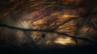 Место действия - сосновый лес