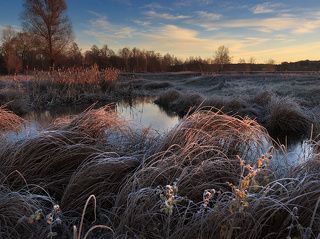 Солоницевка, Харьков