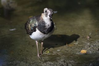 А мы знакомы?