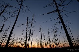 Тундра на закате