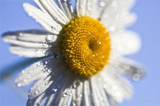 Мираж на фоне неба.