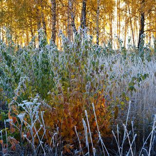 02. А здесь зима подключилась к спору лета и осени…