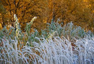 03. Островок лета здесь оказался зажатым между волной зимы и осеними ритмами