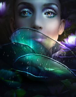 Nymphea 
Подробнее тут http://vk.com/photo132472508_309174704