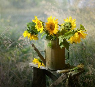 Натюрморт со старой лейкой