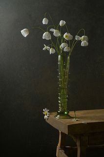 Натюрморт с белыми маками