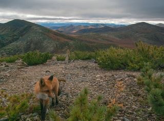 Прости, брат, но это фото не про тебя..