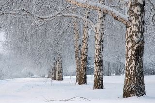 Зимний этюд