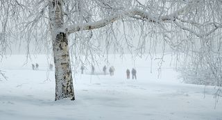 Зимний этюд