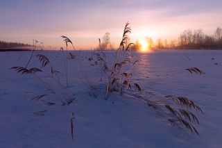 щелчок по фото открывает полный размер, если у кого небольшой монитор