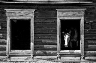 Давай с тобой поговорим