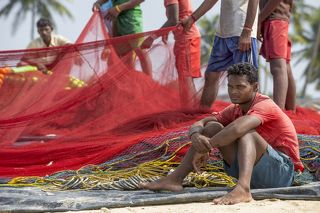 Рыбацкий гламур. Colva Beach. South Goa.